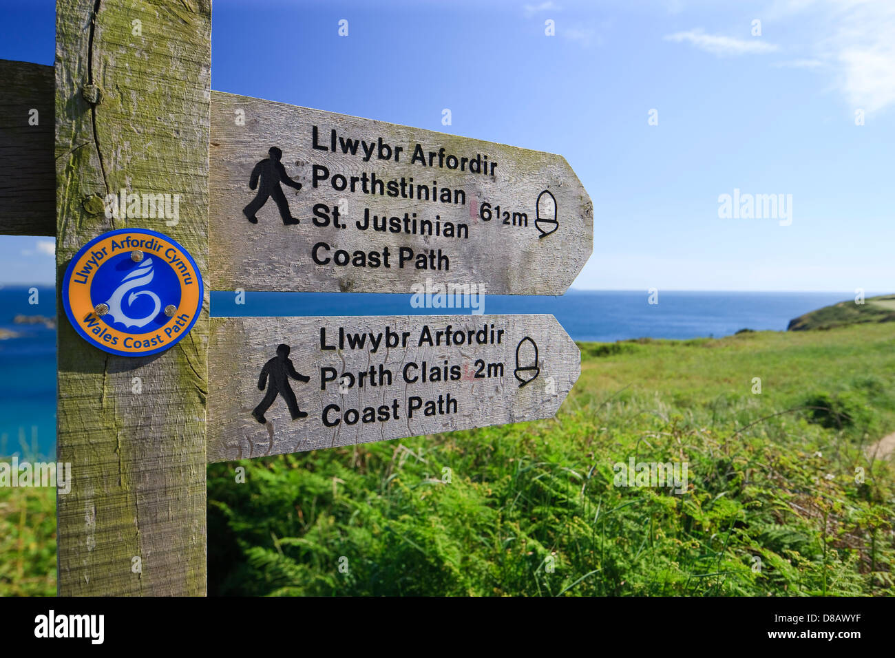 Küstenpfad Caerfai Bay St Davids Pembrokeshire Wales Stockfoto