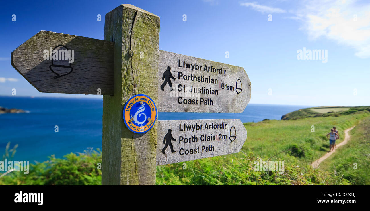 Küstenpfad Caerfai Bay St Davids Pembrokeshire Wales Stockfoto
