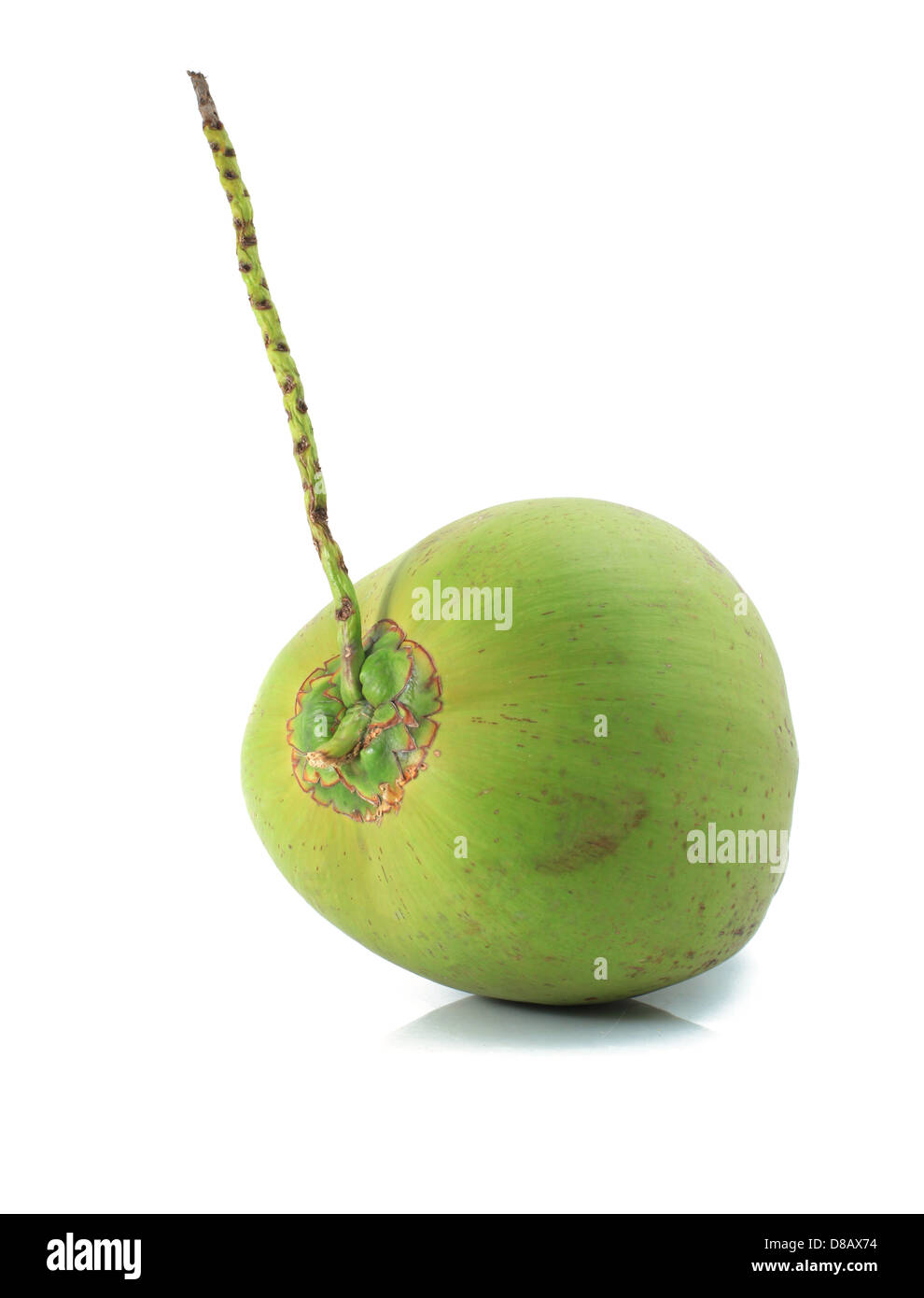 Kokosnussschale Stockfoto