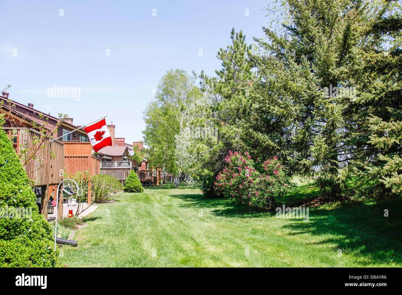 Frühling oder im Frühjahr in Ontario; Kanada mit Crabapple Bäume in voller Blüte in einer Siedlung mit interlock Gehwege Stockfoto