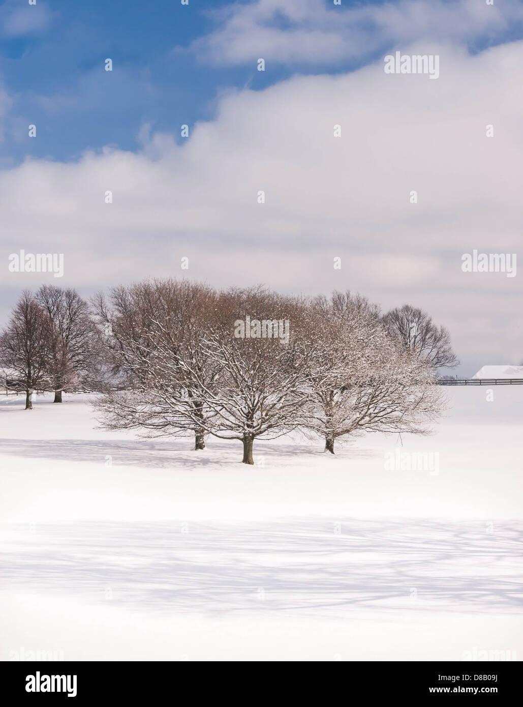Schöne Winterlandschaft mit Schnee und Frost bedeckt Bäume in den frühen Morgenstunden Stockfoto