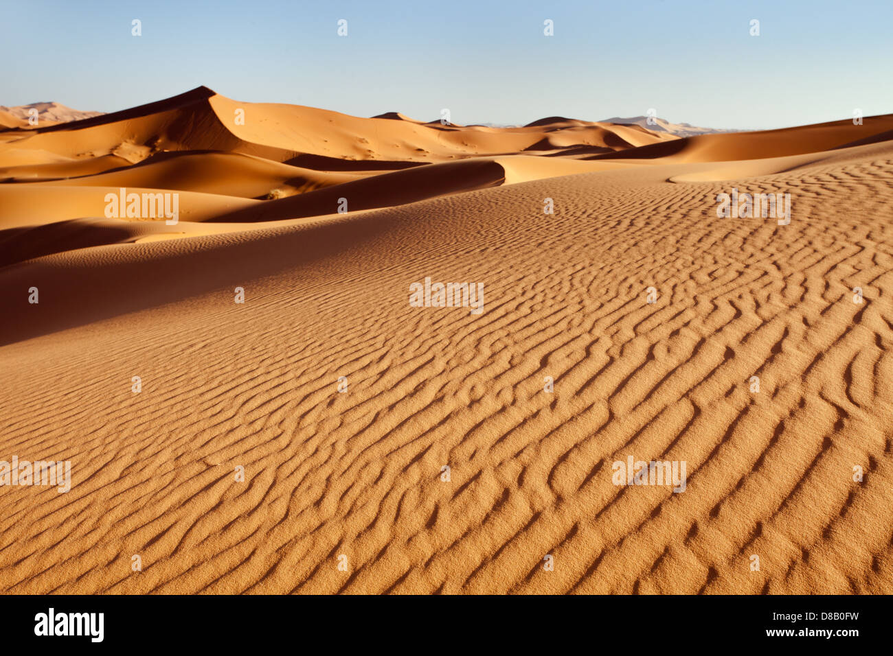 Erg Chebbi-Dünen: Wüste Textur Stockfoto