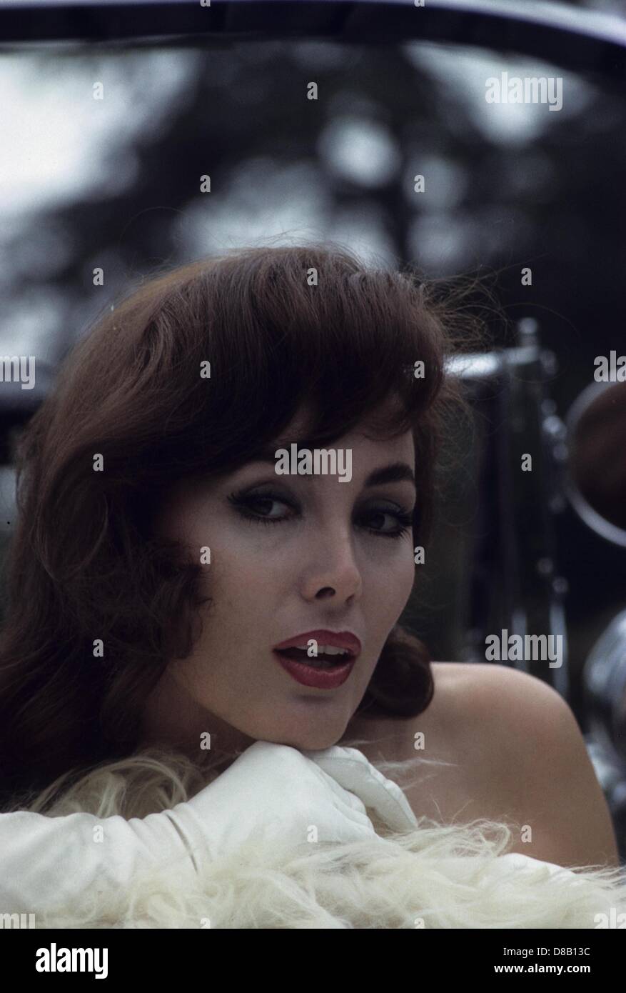 Charlene holt Fotos und Bildmaterial in hoher Auflösung Alamy