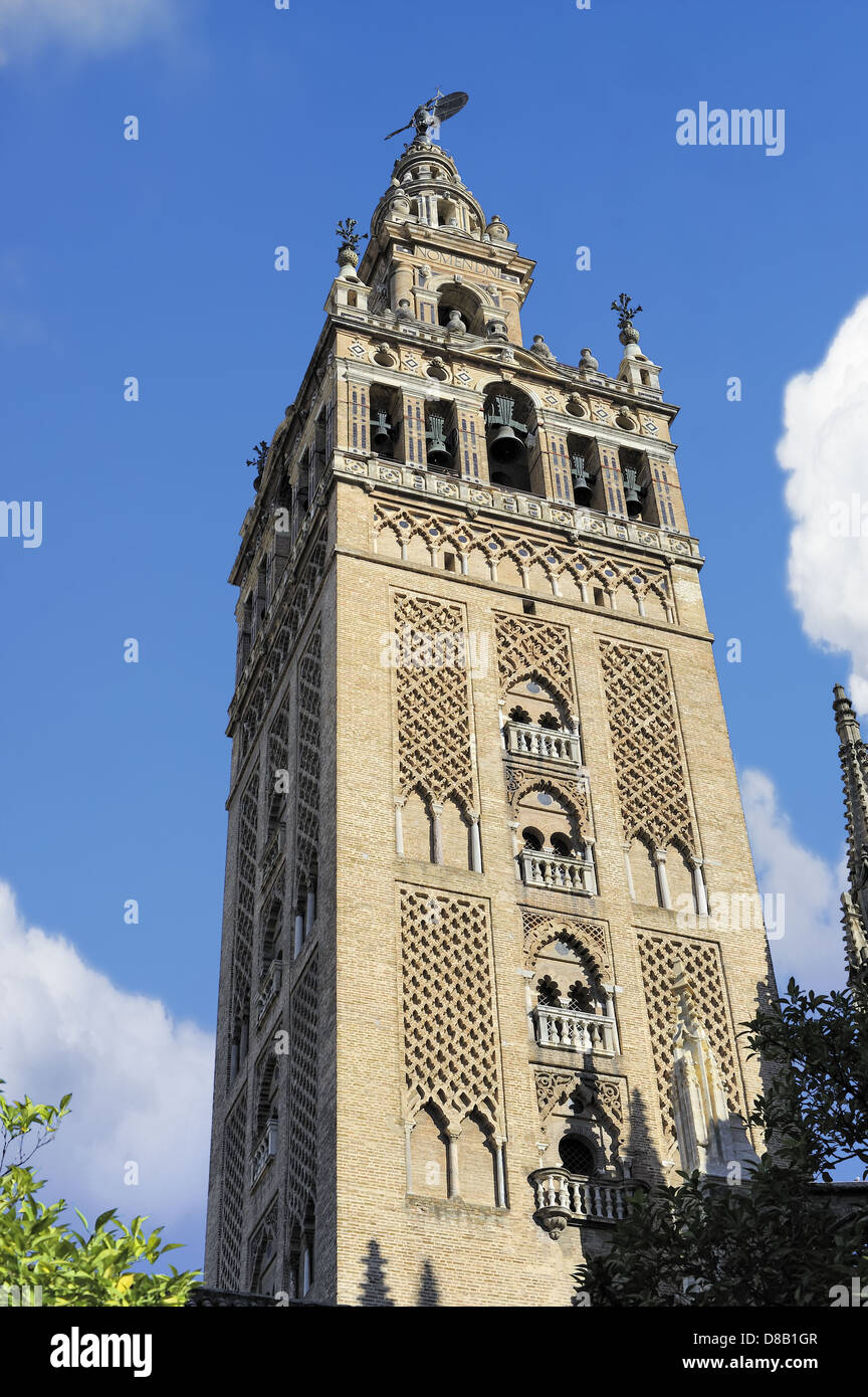 Blick auf die Giralda Turm der Kathedrale von Sevilla, Sevilla, Spanien Stockfoto