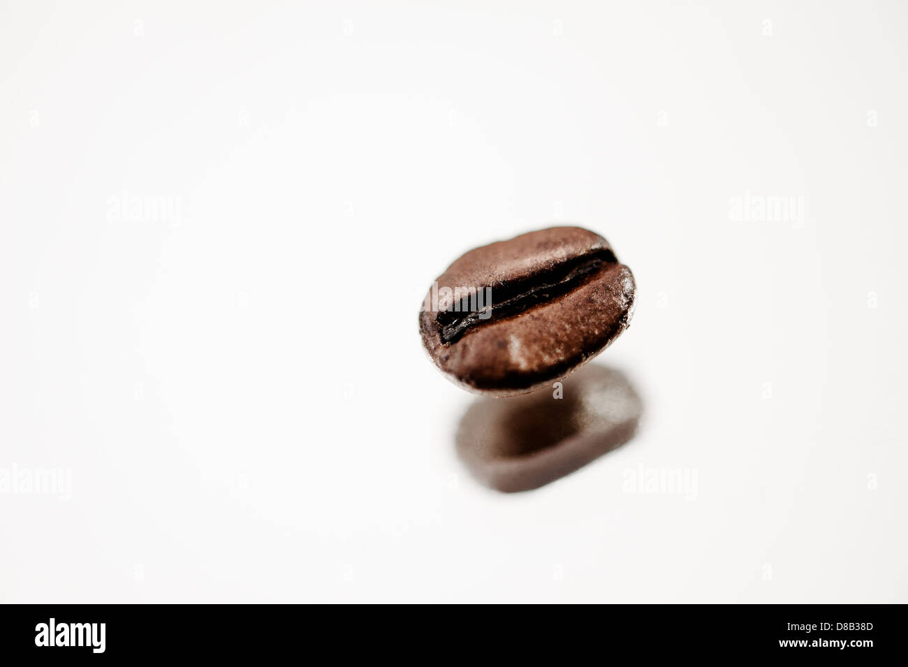 einzigen Kaffee Espresso Bohne auf einer reflektierenden Oberfläche Stockfoto