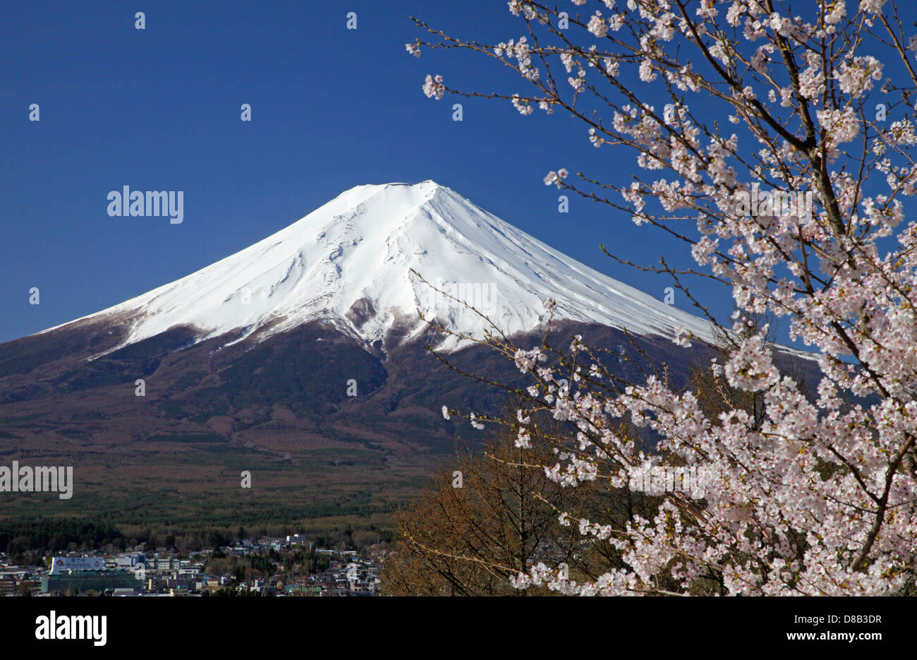 Schneebedeckten Mount Fuji und Kirschblüten Fuji-Yoshida Stadt Japan Stockfoto