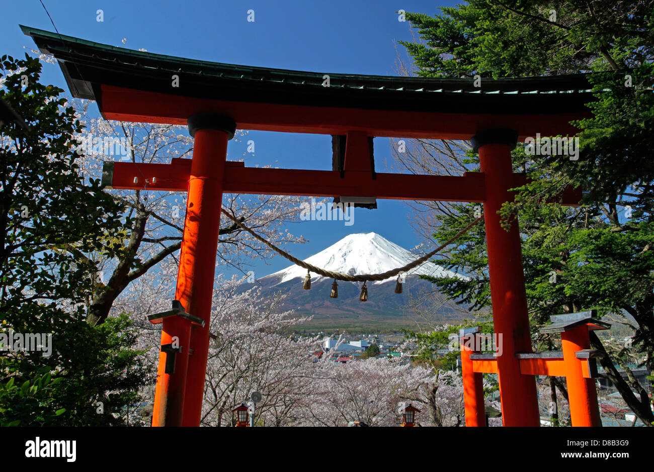 Schneebedeckten Mount Fuji Ansicht durch Torii Shinto Schrein Tor am Fuji-sich Jinja Japan Stockfoto