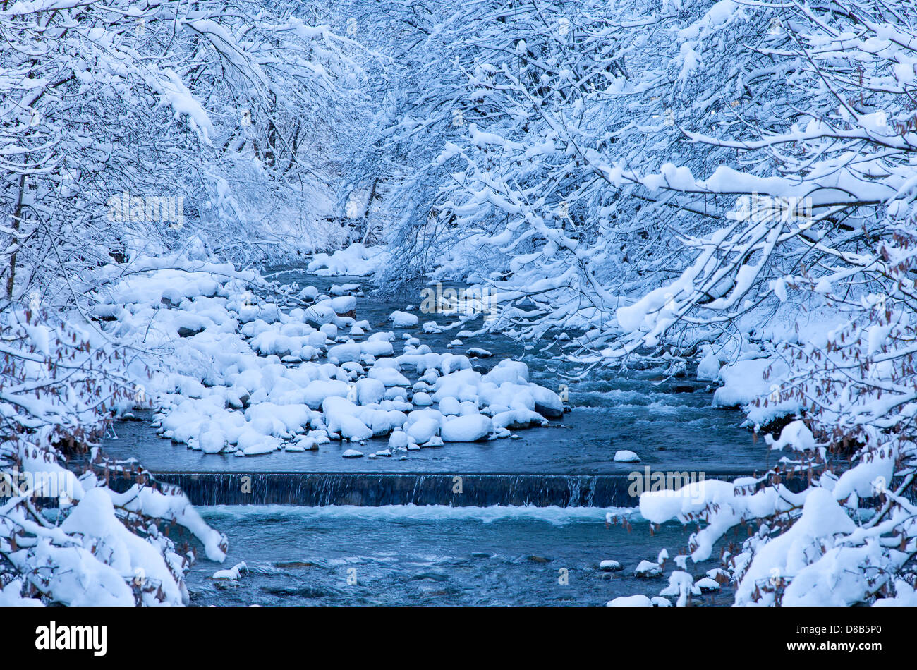 Winter-Szene in den Alpen Stockfoto