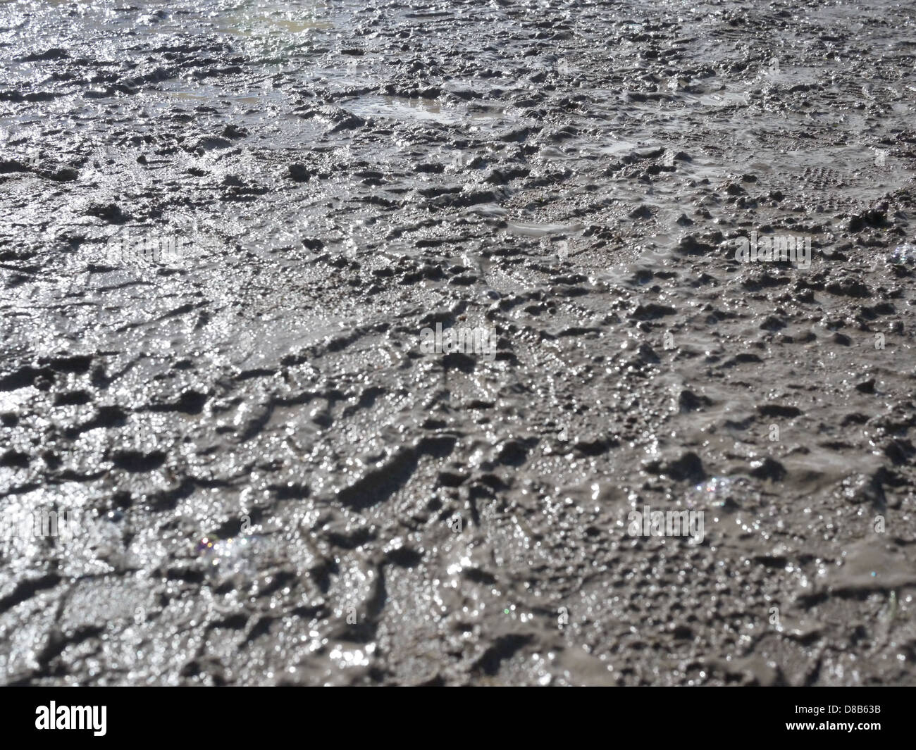 Schlammiger Fotos und Bildmaterial in hoher Auflösung Alamy