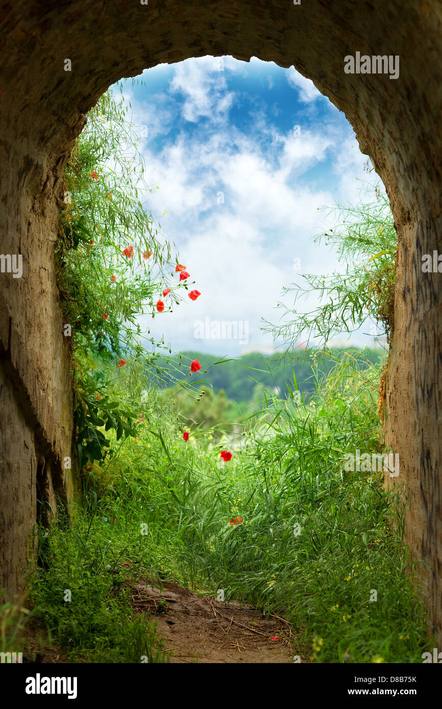 Dunklen Tunnel Korridor mit Bogen Eröffnung mit grünem Rasen und Blumen zu einem schönen bewölkten Himmel Stockfoto