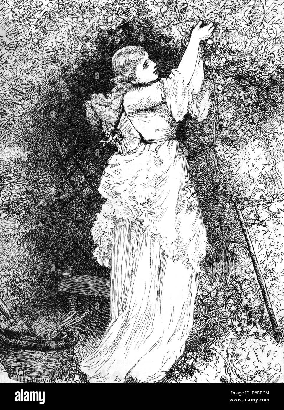 Lady Gärtner der 1870er Jahre Stockfoto