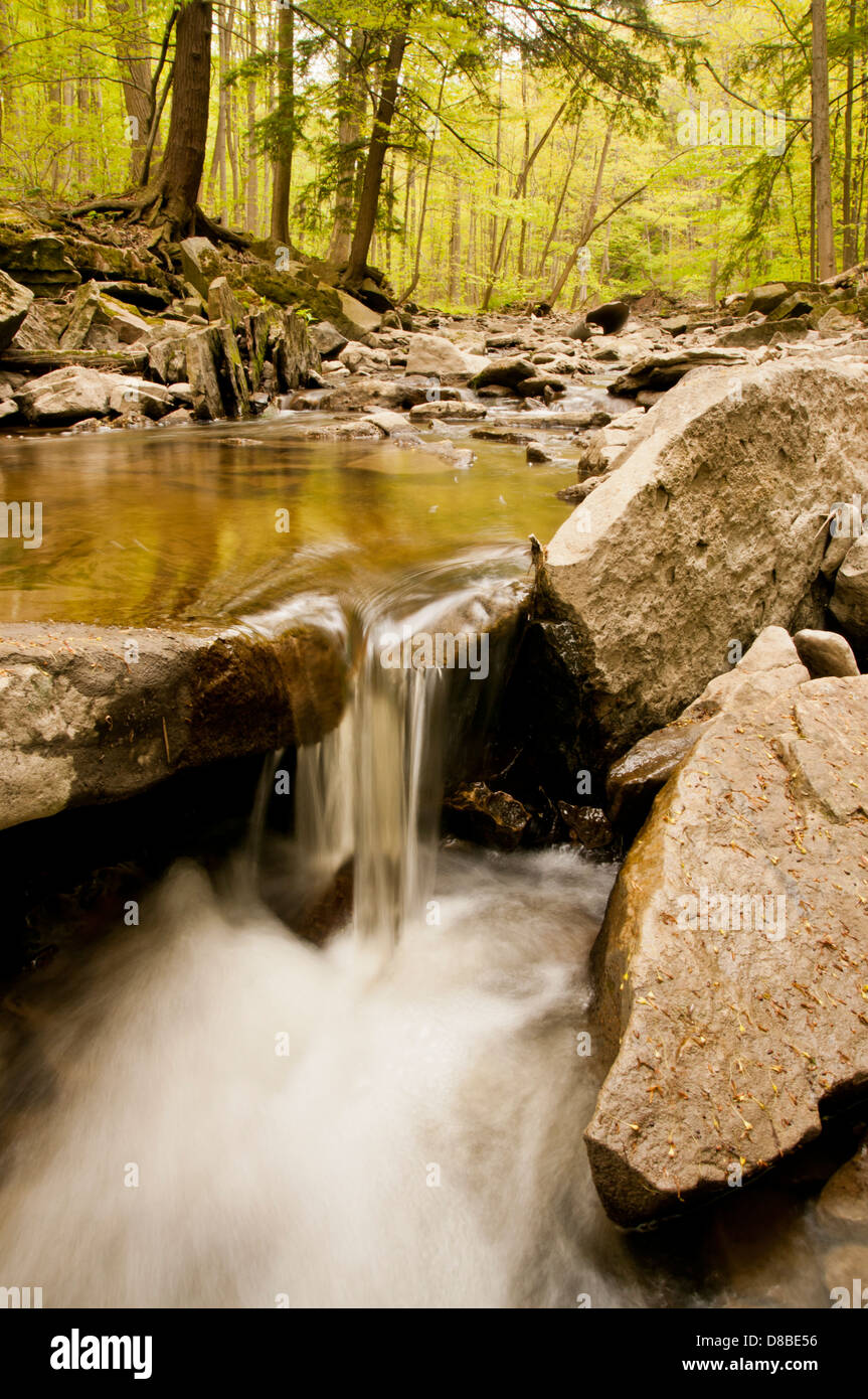 Der Bruce Trail hat viele verborgene Schätze, darunter einen kleinen Wasserfall und Widerspiegelnder Teich Stockfoto