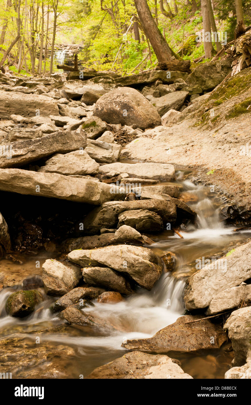 Wald-Kaskade über Felsen mit unscharfen Wasser Stockfoto