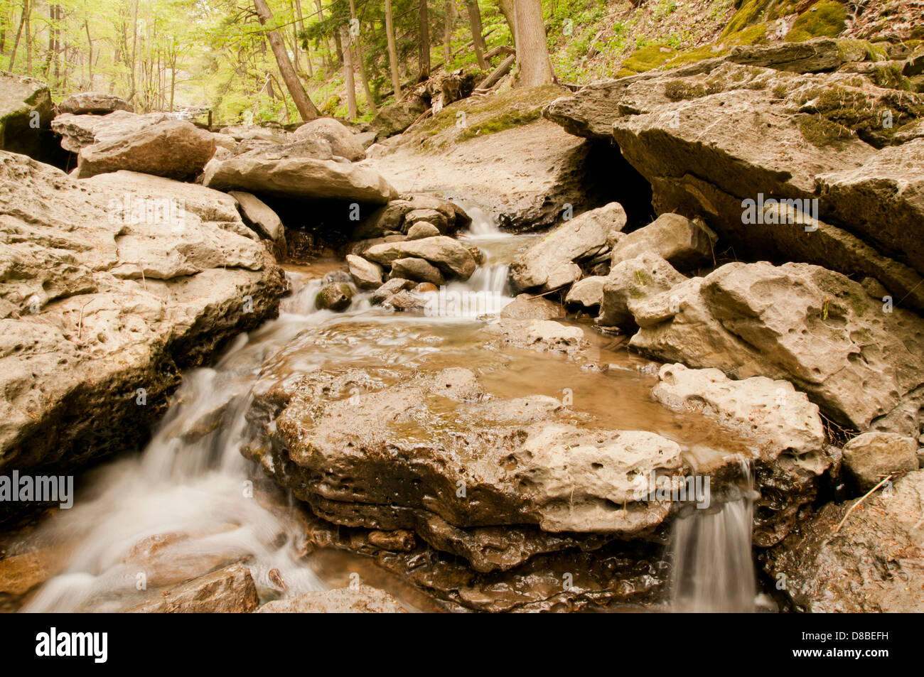 Weitwinkel von Waldbach und kleinen Wasserfall Stockfoto