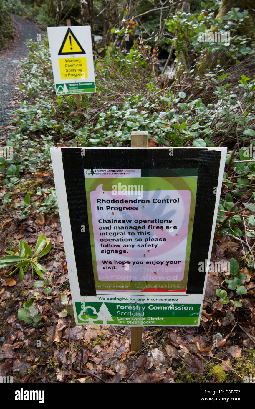 Schottische Forstwirtschaft Warnschilder die Öffentlichkeit über chemische und Kettensäge verwenden um Rhododendron Invasion zu steuern. Stockfoto
