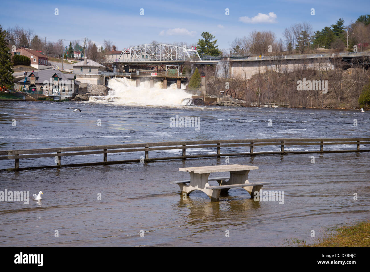 Bracebridge Hydro fällt im Frühjahr Hochwasser Stockfoto