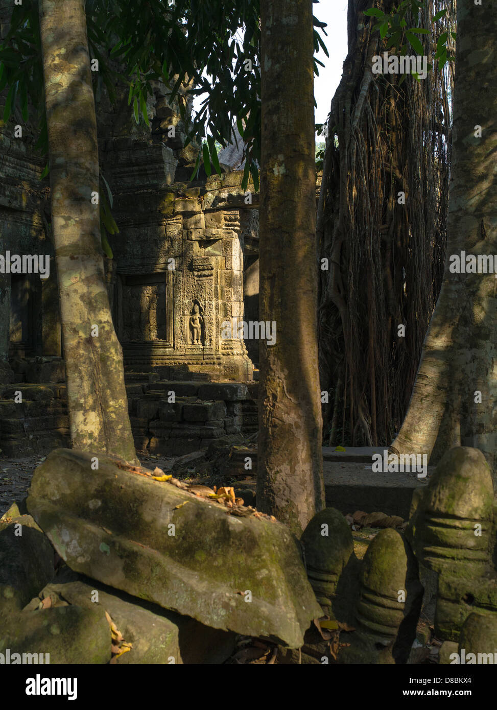 Preah Khan. Angkor archäologischer Park. Siem Reap. Kambodscha Stockfoto