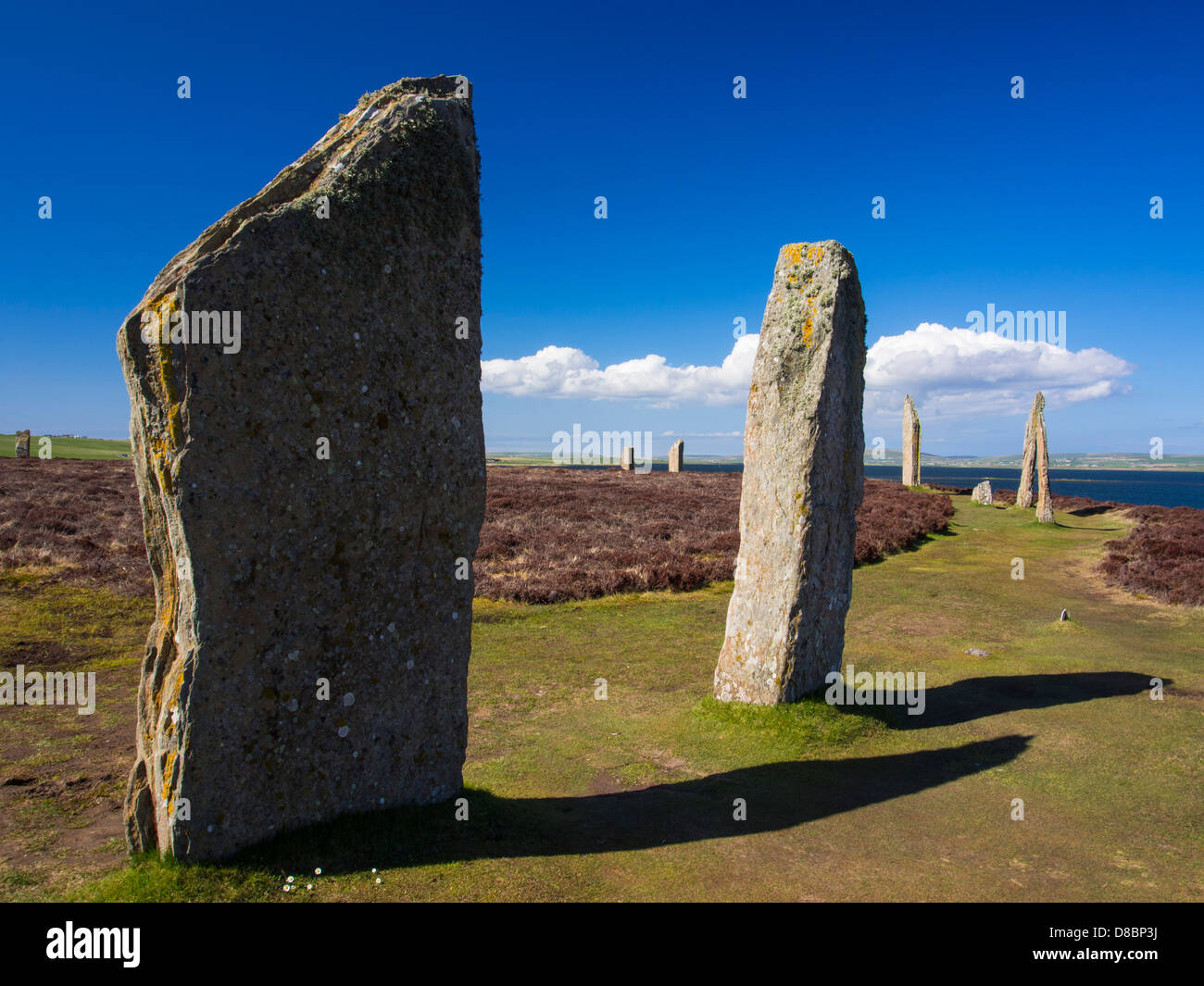 Ring of Brodgar, eine neolithische Steinkreis Stockfoto