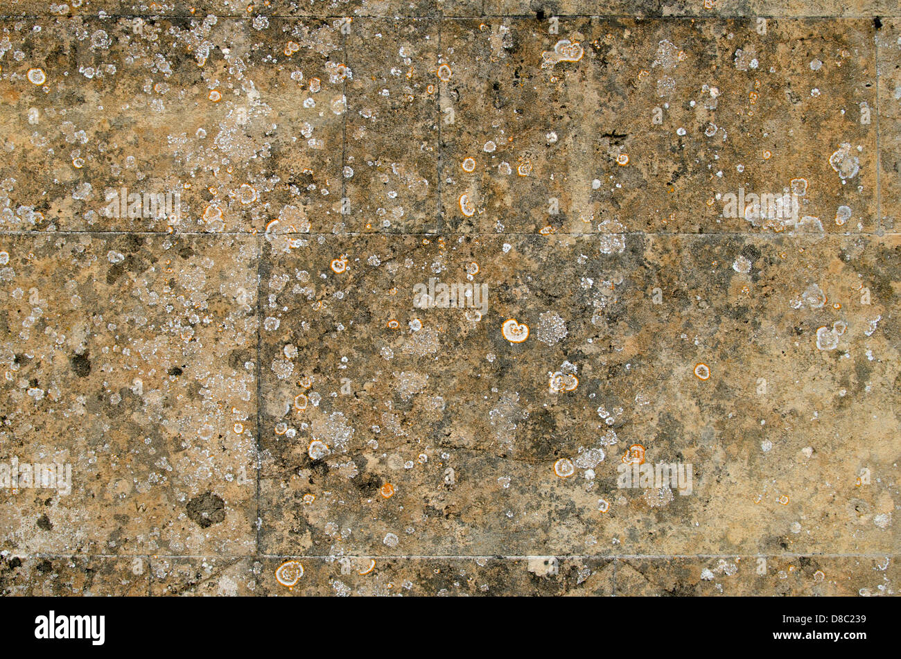 Flechten auf verwitterte Steinmauer Stockfoto