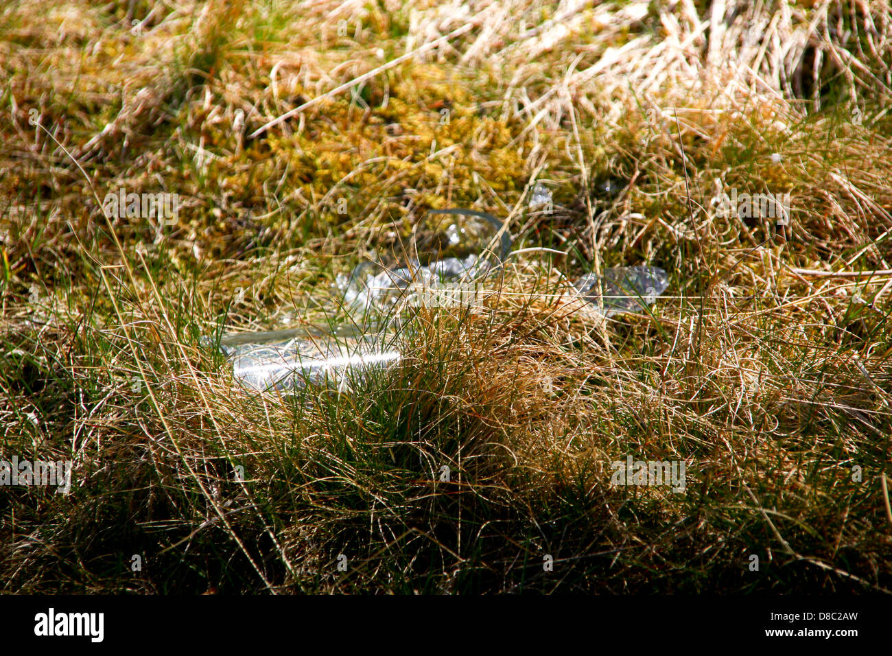 Zerbrochenes Glasflaschen auf Trockenrasen Brandgefahr Stockfoto