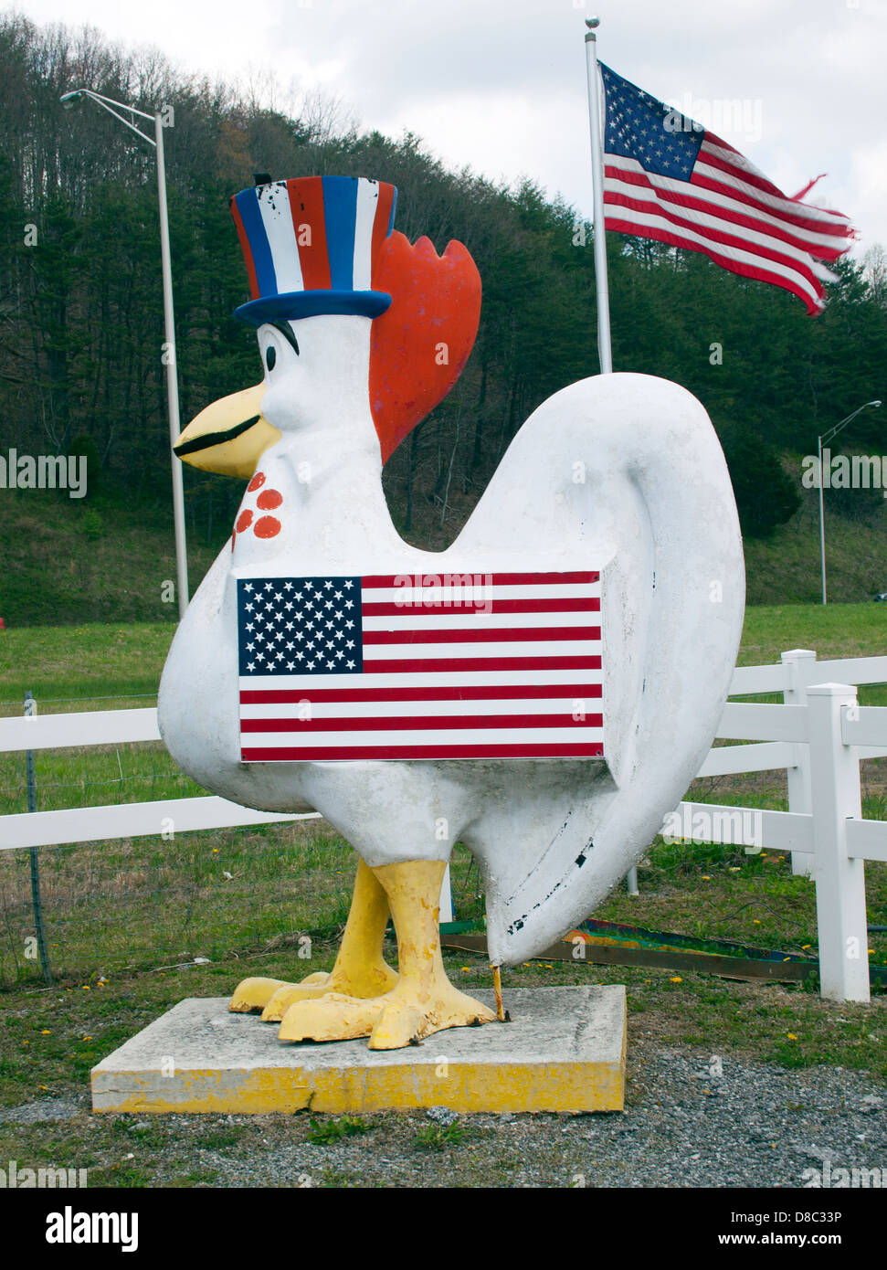 Patriotische Huhn an einer Tankstelle in La Follette Tennessee Stockfoto