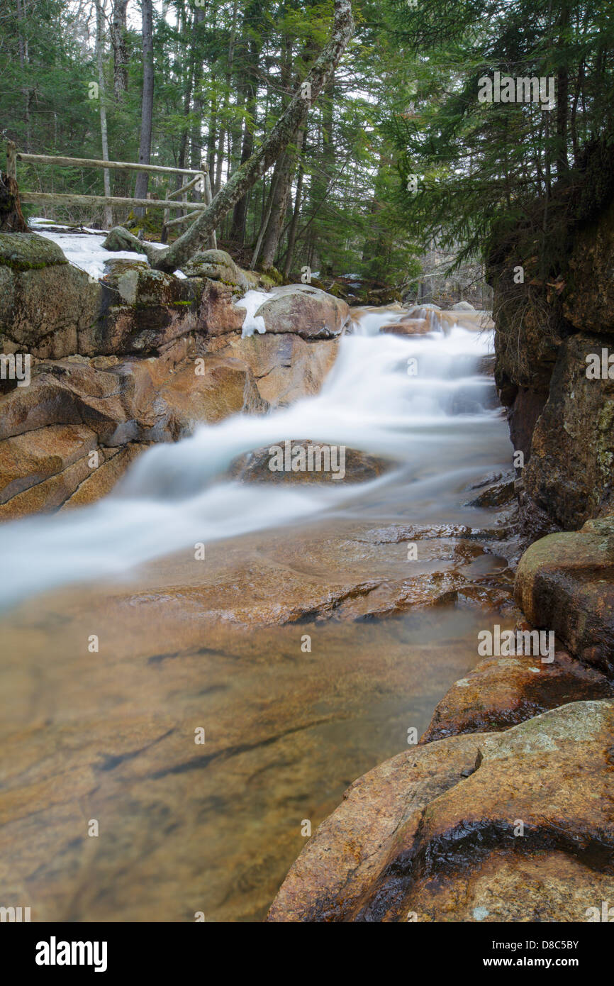 Die Baby-Flume in Franconia Notch State Park von New Hampshire, USA Stockfoto