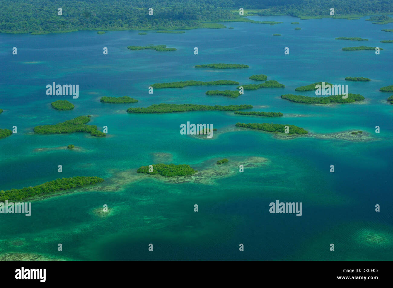 Mangroven-Inseln und Korallenriffe in Bastimentos National Marine Park Stockfoto