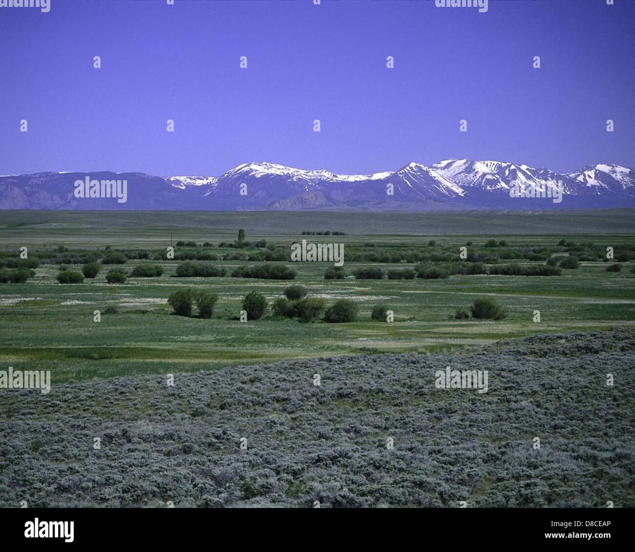 Arapaho national Wildlife Refuge. Stockfoto