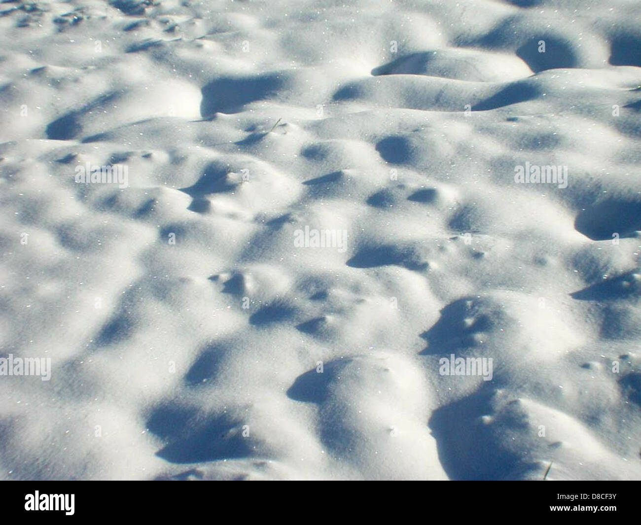 Weißen Hintergrund Schnee. Stockfoto