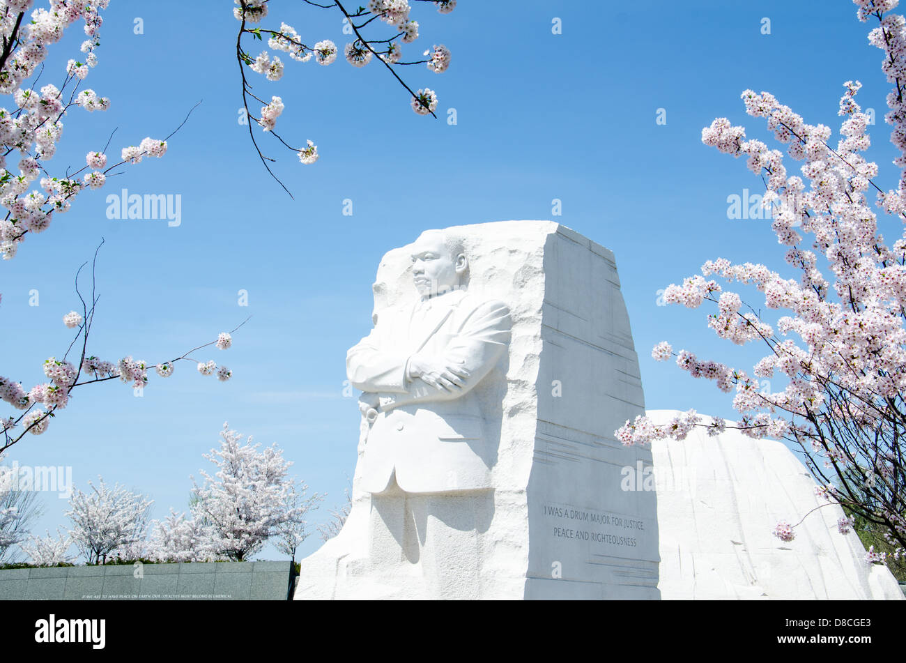 MLK Memorial während der Kirschblüte Festival Stockfoto
