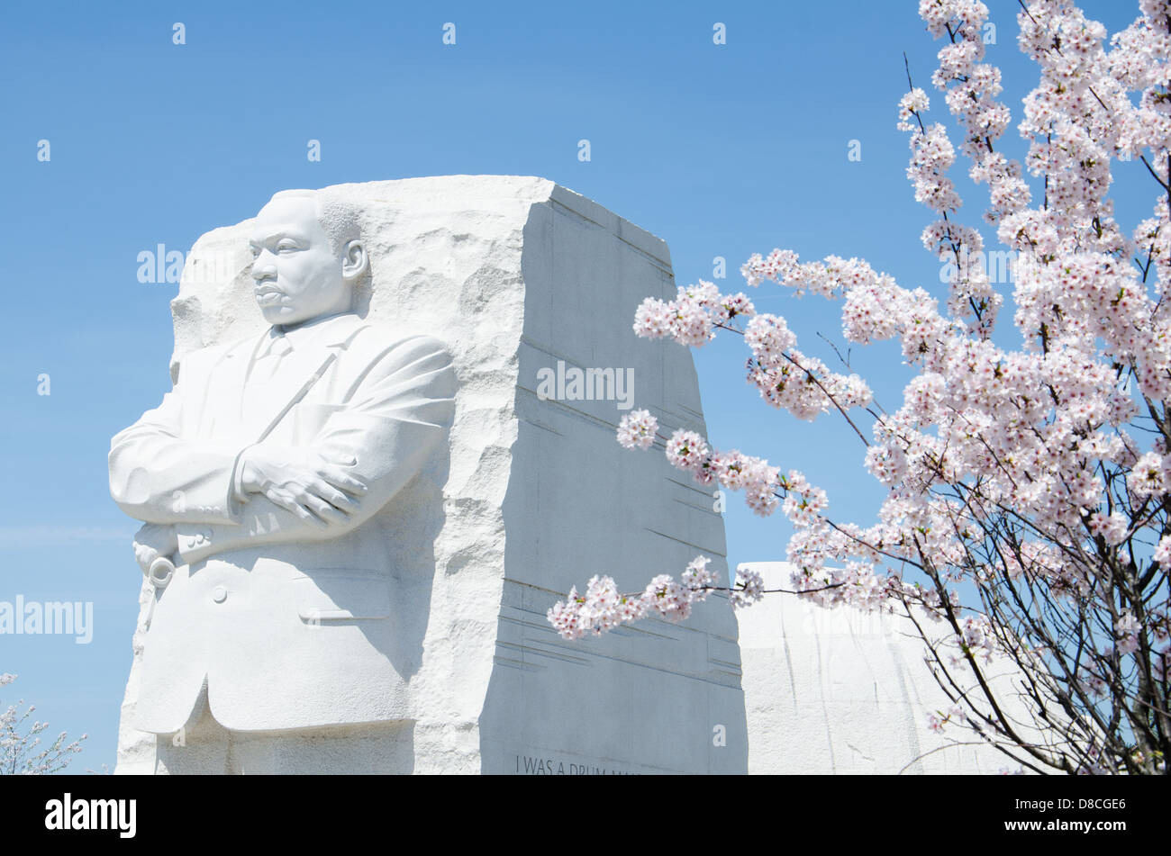 MLK Memorial während der Kirschblüte Festival Stockfoto