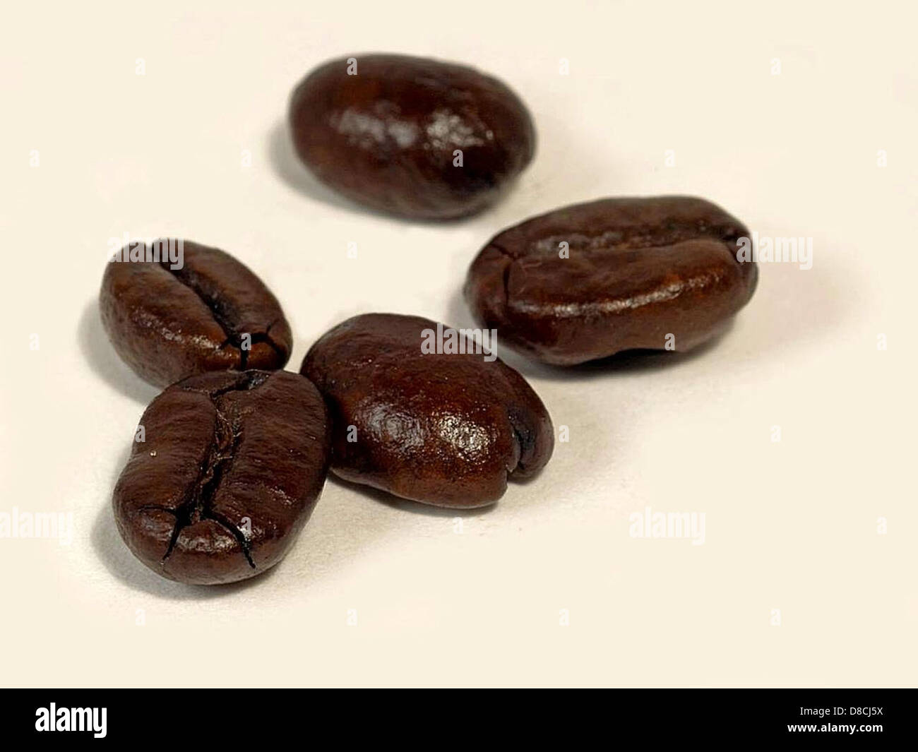 Dunkel gerösteter Kaffee auf weißem Hintergrund. Stockfoto