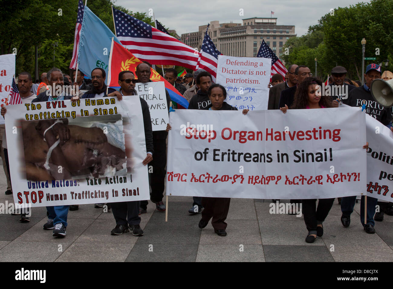 Eritreer Protest für den demokratischen Wandel und die Achtung der Menschenrechte in Eritrea - Washington, DC, USA Stockfoto