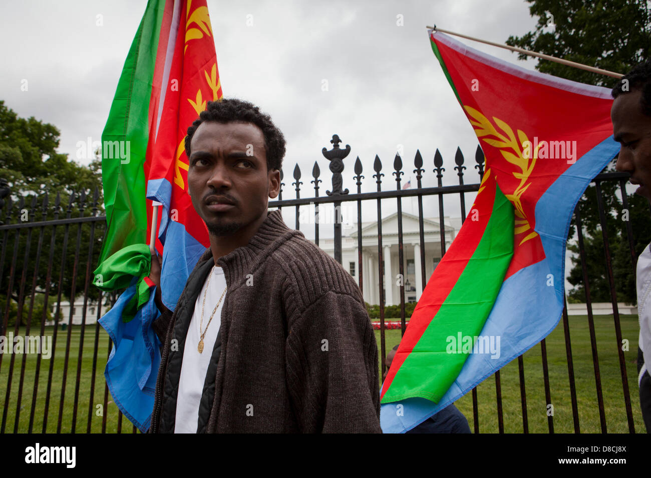 Eritreer Protest für den demokratischen Wandel und die Achtung der Menschenrechte in Eritrea - Washington, DC, USA Stockfoto