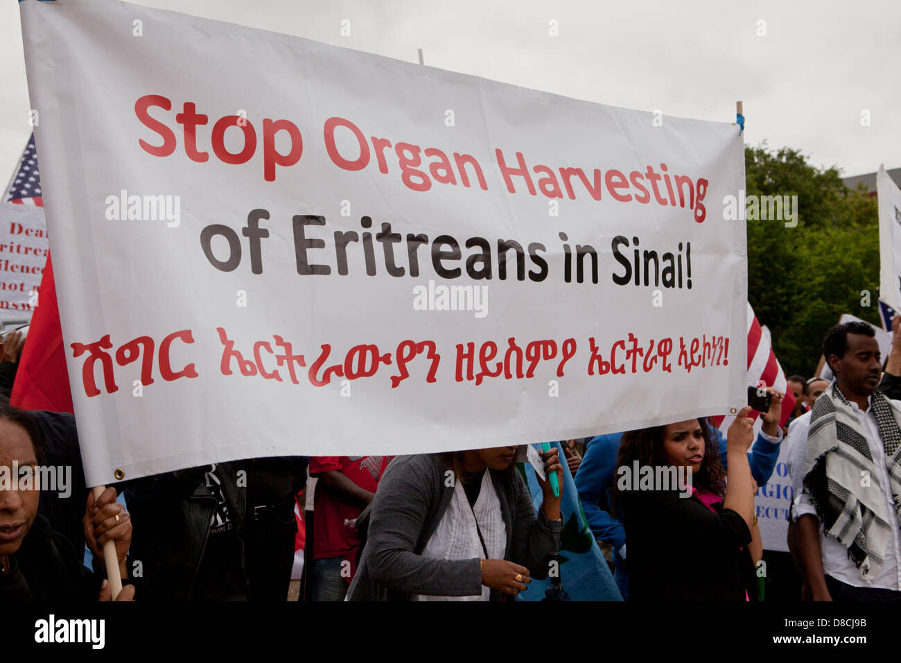 Eritreer Protest für den demokratischen Wandel und die Achtung der Menschenrechte in Eritrea - Washington, DC, USA Stockfoto