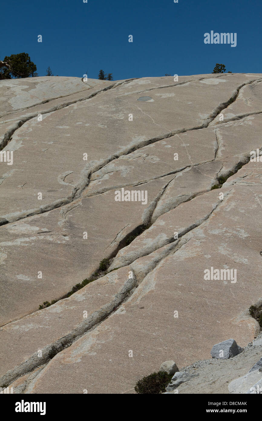 Glazialen Erosion des Felsens am Olmsted Point, Yosemite-Nationalpark. Die Risse in den Felsen zeigen die Bewegung des Gletschers. Stockfoto