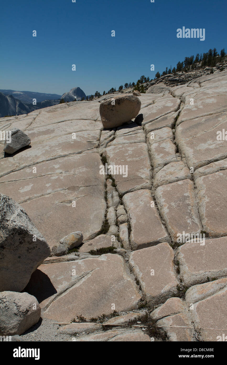 Glazialen Erosion des Felsens am Olmsted Point, Yosemite-Nationalpark. Die Risse in den Felsen zeigen die Bewegung des Gletschers. Stockfoto