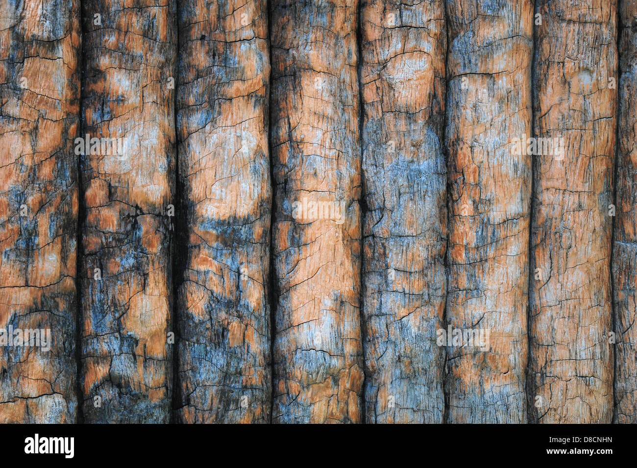 Holz-Wand-Hintergrund Stockfoto