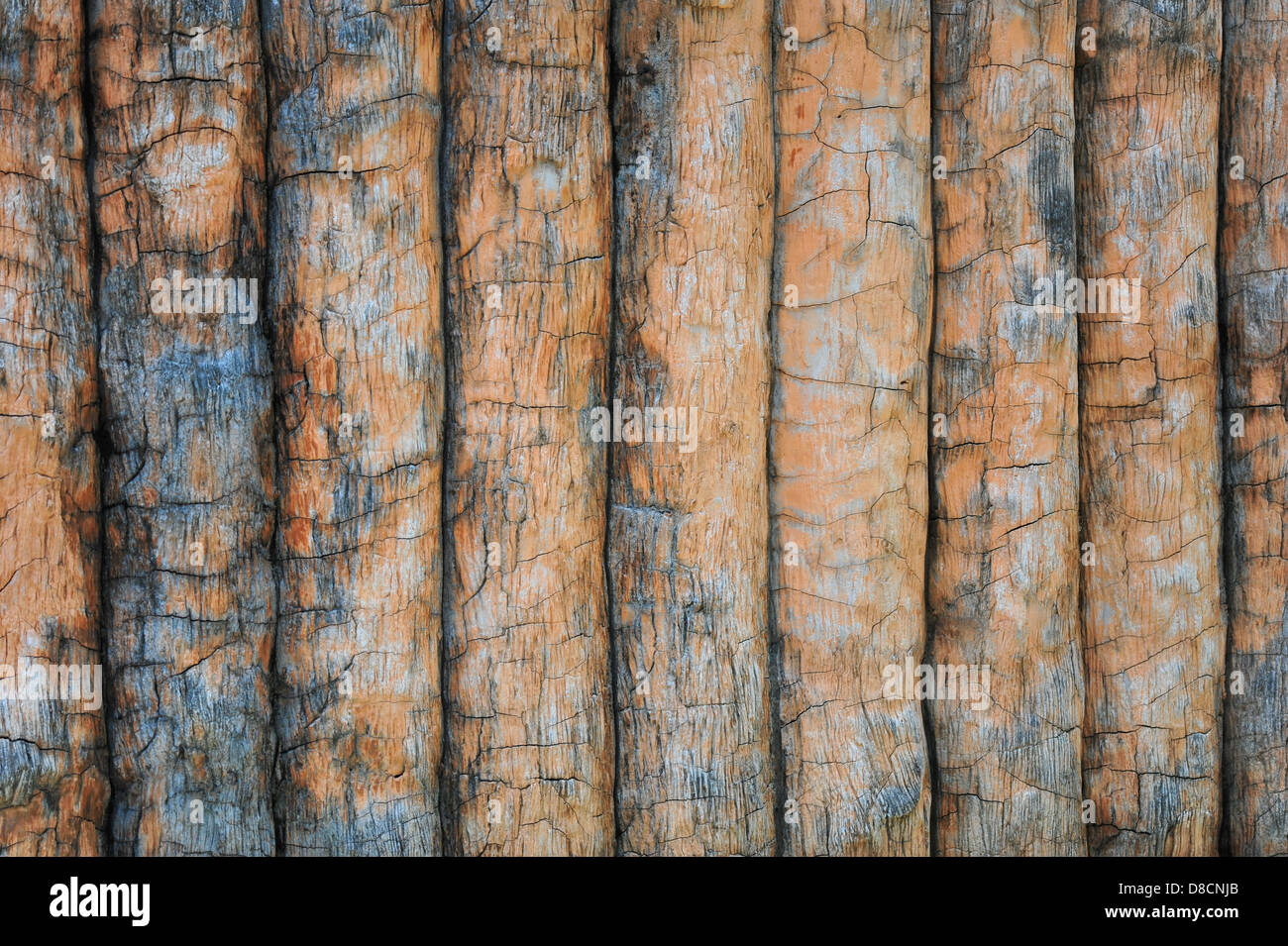 Holz-Wand-Hintergrund Stockfoto
