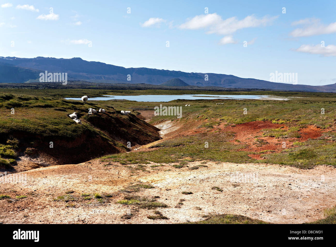 Geothermische Bereich Landschaft, Hellisheidi, Island Stockfoto