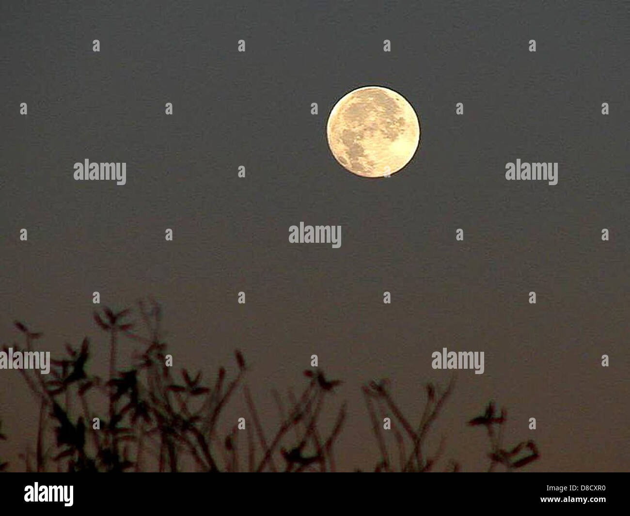 Mond im nahe Zeit. Stockfoto