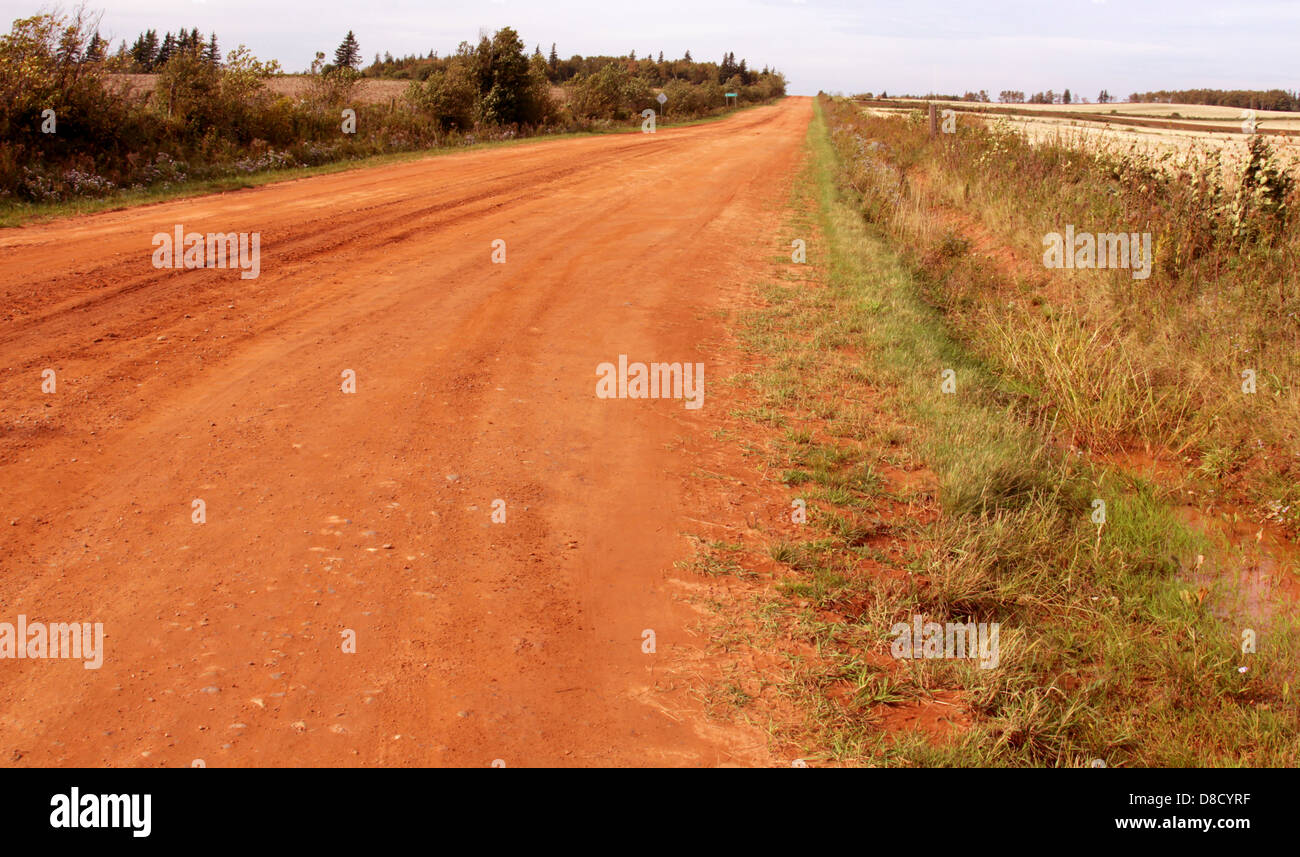 Feldweg in PEI Stockfoto