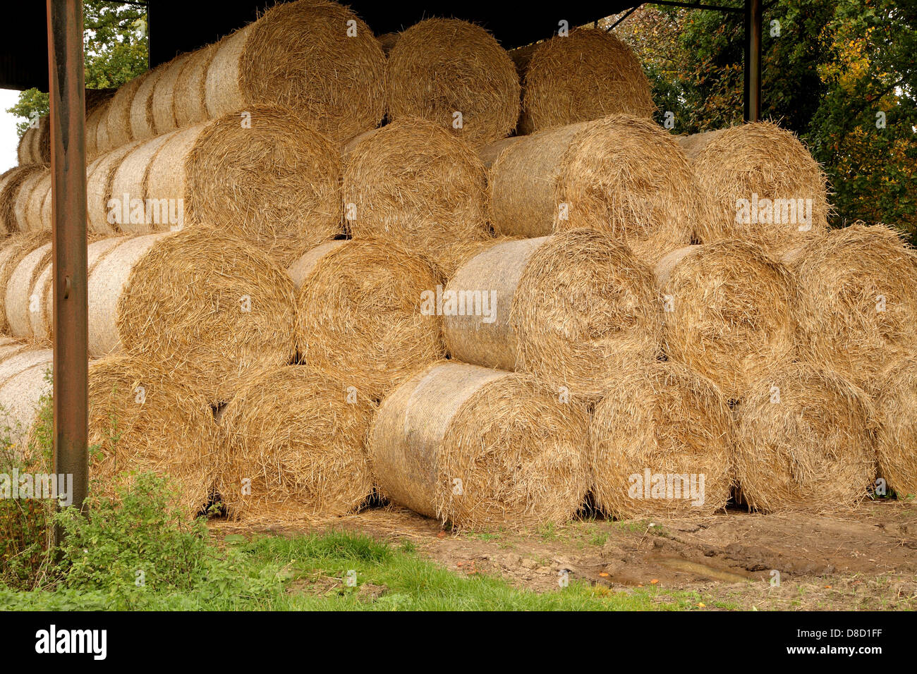 Rundballen Stroh in einer Scheune gelagert Stockfoto