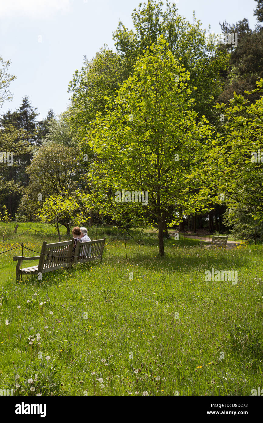 Entspannen auf Bänken im Park Greenery Garden Stockfoto