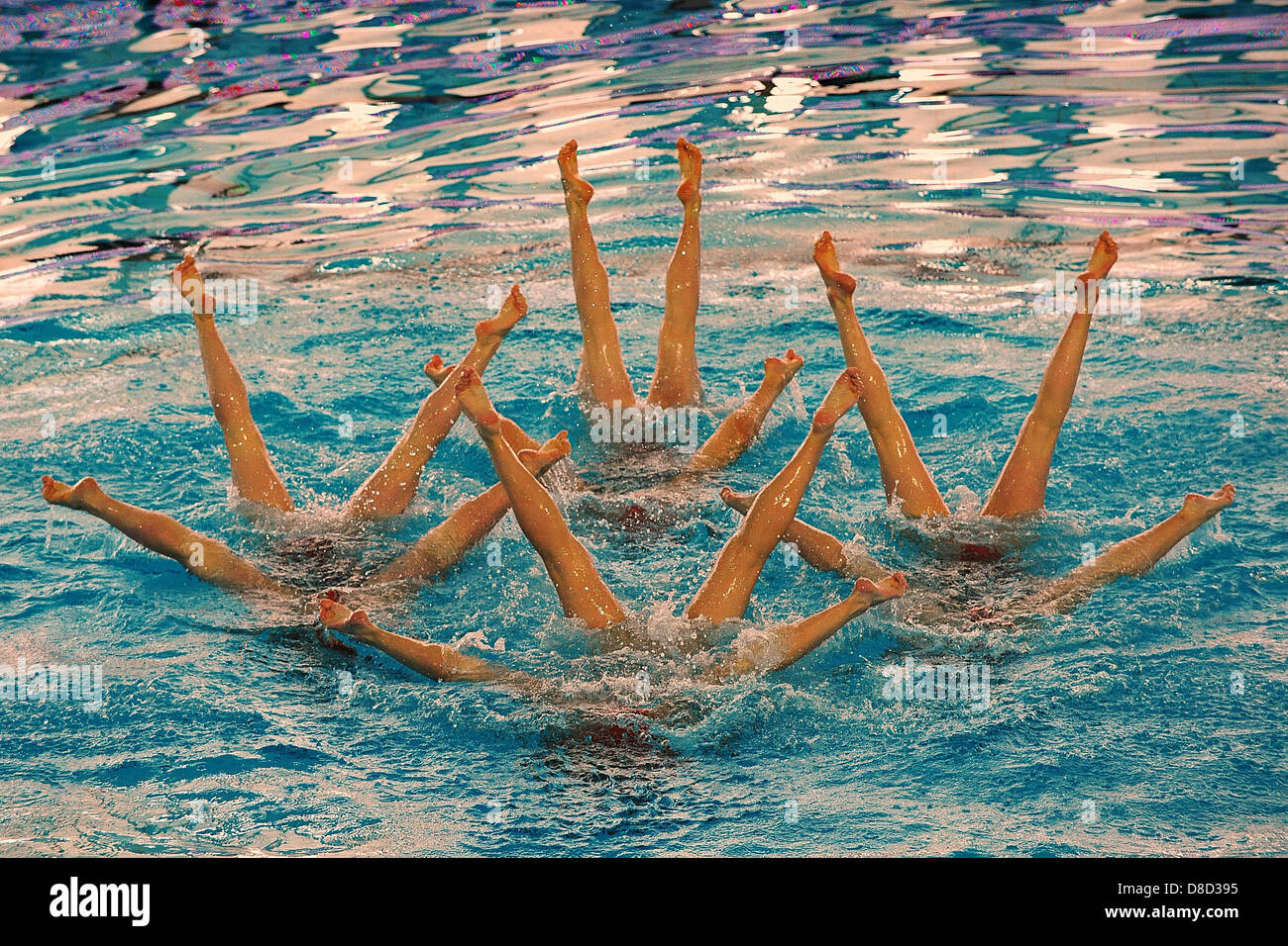 25.05.2013 Savona, Italien. Das Team von Italien während der Team Free Routine Vorbereitungen auf die synchronisierte schwimmen Europacup von Piscina Comunale Carlo Zanelli. Stockfoto