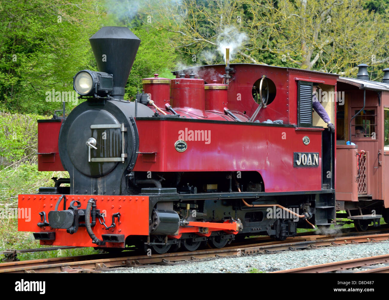 Schmalspur-Dampflokomotive Stockfoto