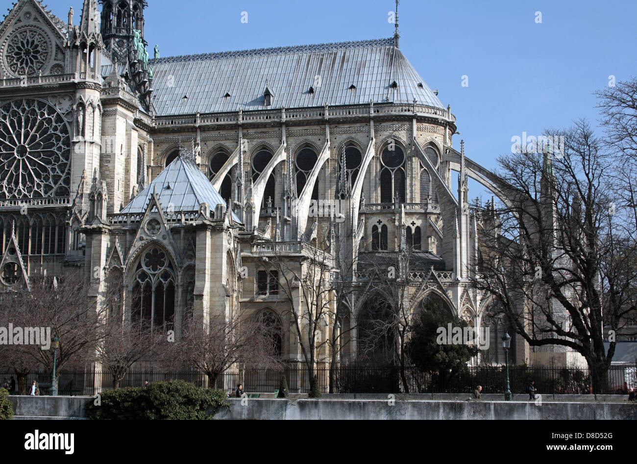 Notre Dame de Paris, vom linken Ufer aus gesehen Stockfoto