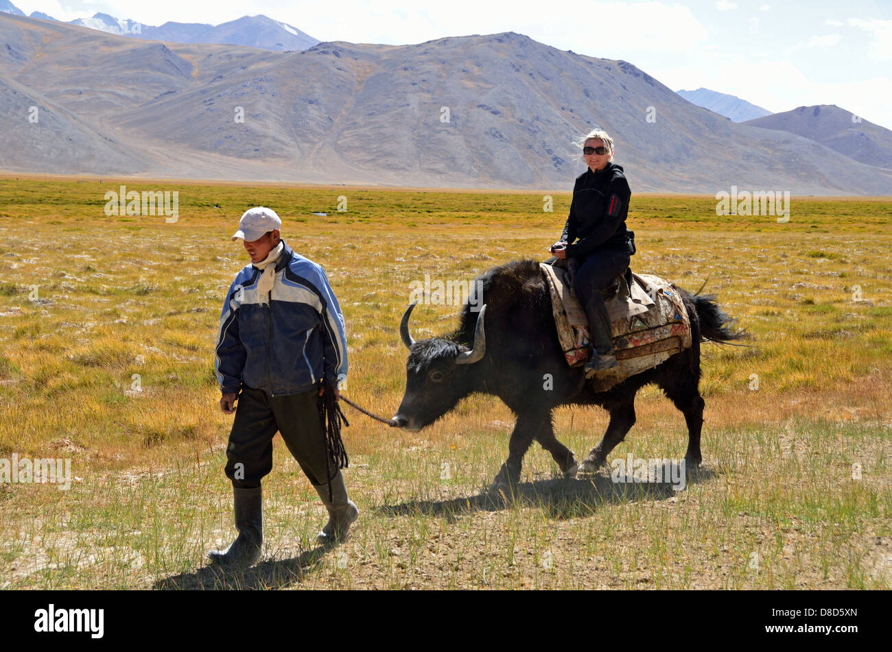 Reiten ein Yak in den Pamir, Tadschikistan Stockfoto