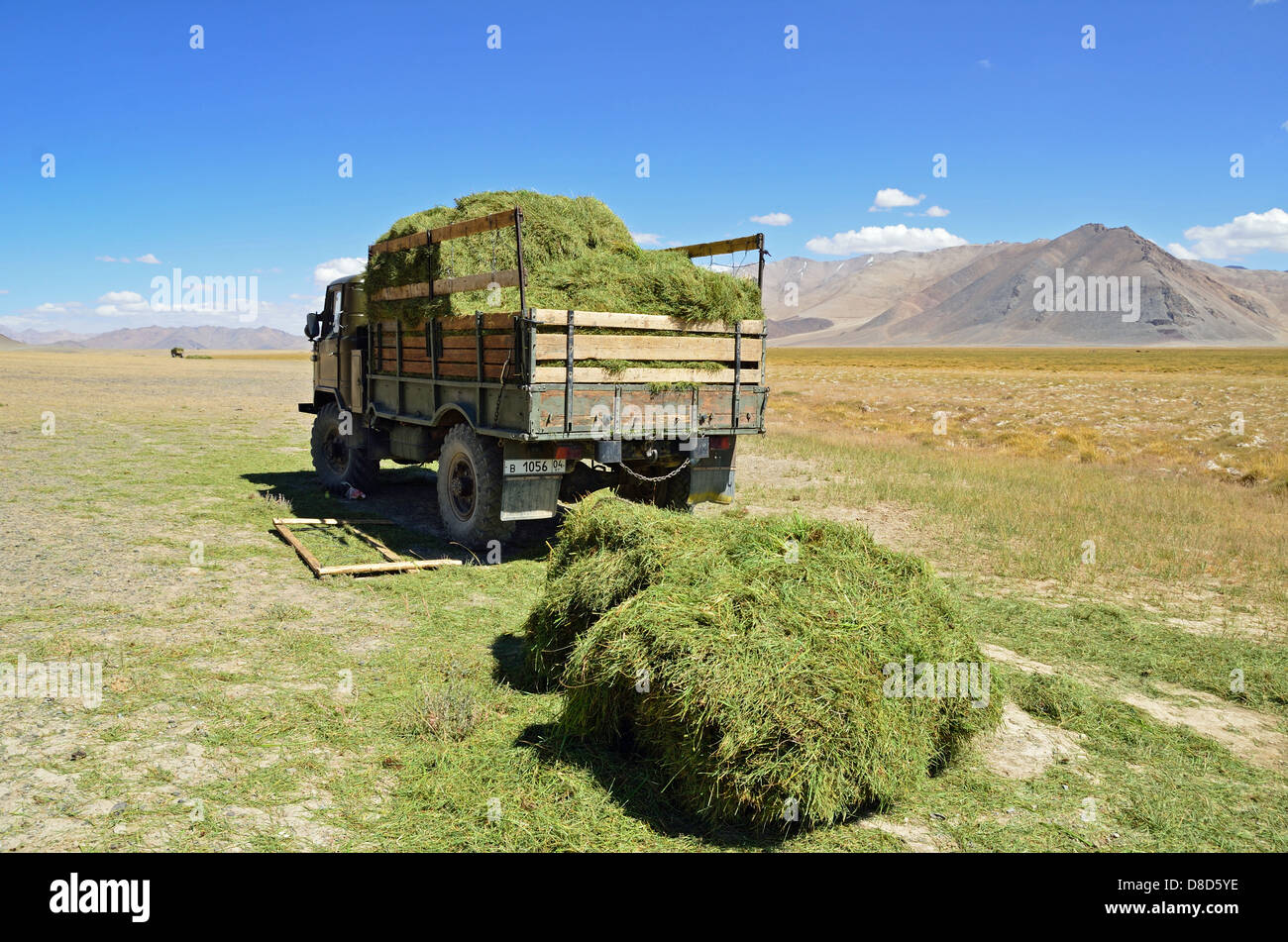 Sammeln von Heu auf dem Pamir Plateau in Tadschikistan Stockfoto