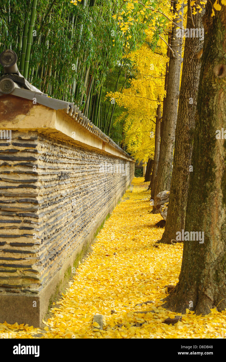 Ästhetik des Kyoto-Protokolls Stockfoto